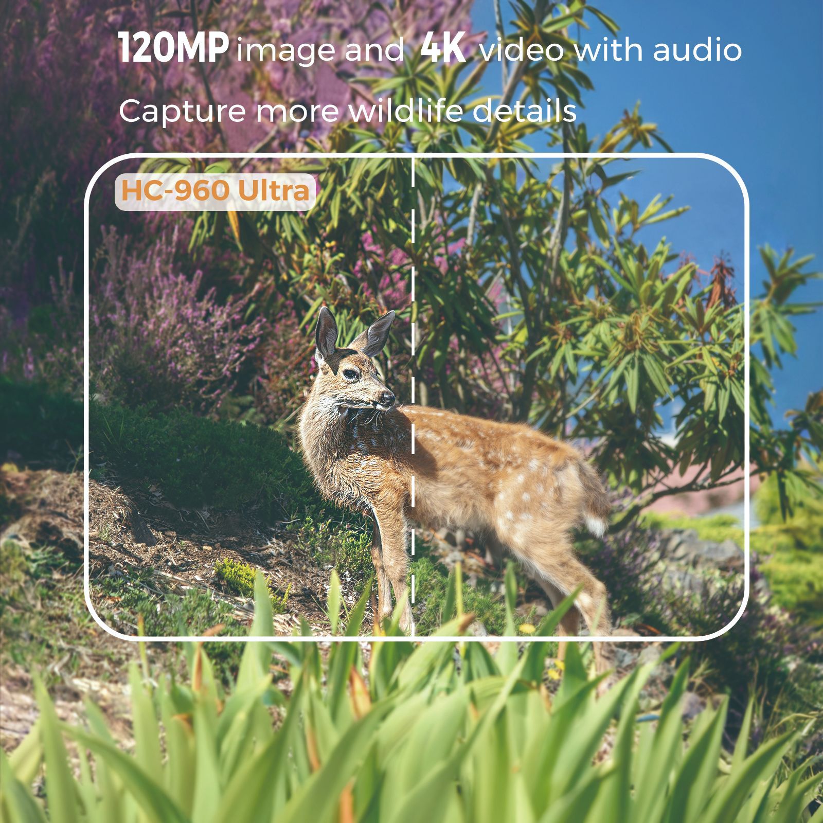 Outdoor 4K Video 120MP Photo 4 - огляд і ціна Hunting Outdoor Camera