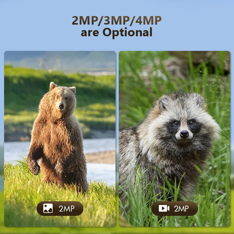 4G 4MP Outdoor Wildlife Huntin - огляд і ціна Hunting Outdoor Camera
